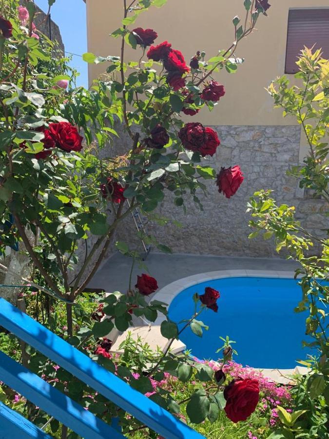 فيلا Dalmatian Rustic House بيتريتْشاني المظهر الخارجي الصورة